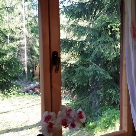 Nad Strumieniem * Glinka (Silesia)