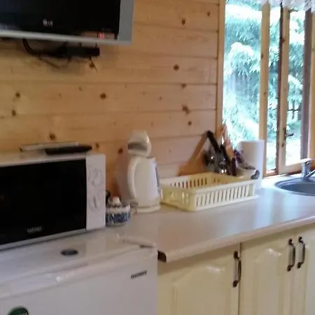 بيت خشبي Nad Strumieniem