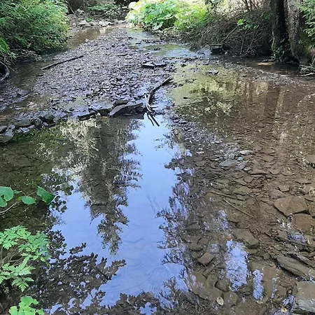 Nad Strumieniem بيت خشبي Glinka (Silesia)