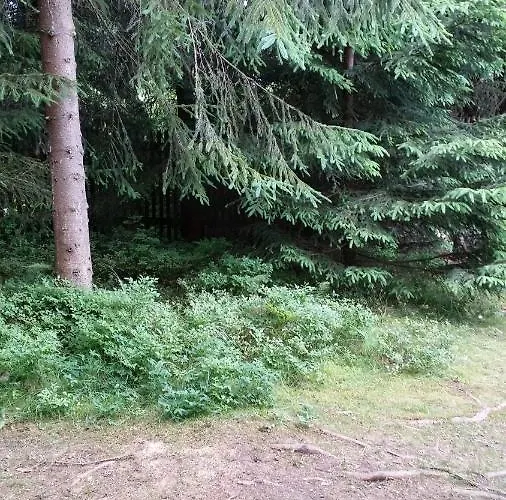 Nad Strumieniem * Glinka (Silesia)