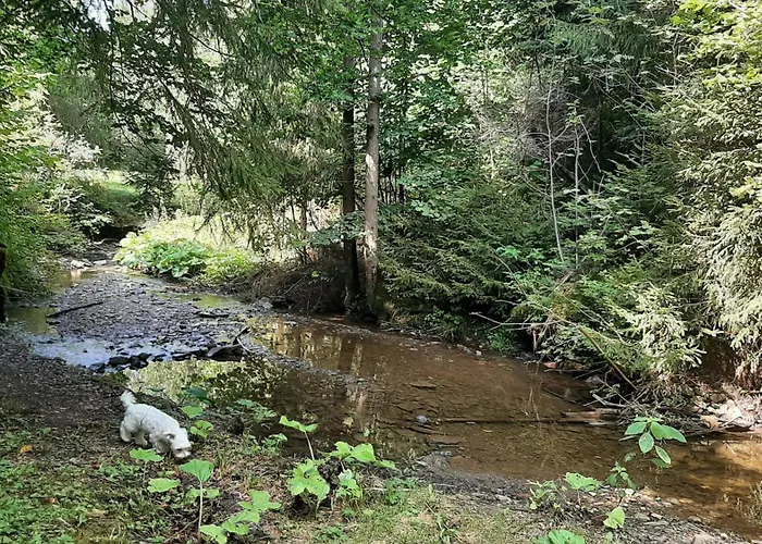 Chata Nad Strumieniem Glinka (Silesia)
